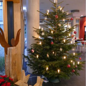 Weihnachtsbaum im Foyer des Rudolf-Walter-Hauses